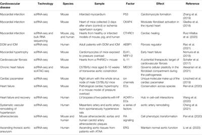 Applications of Single-Cell RNA Sequencing in Cardiovascular Research